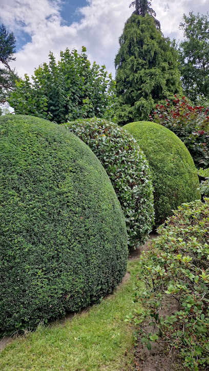 SARI GARTENPFLEGE &LANDSCHAFTSGESTALTUNG