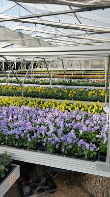 Gärtnerei & Floristik Morand