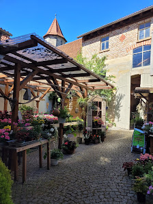 Blumen Then
