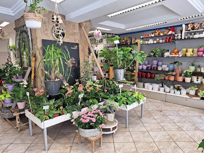 Blumenhaus Fritz Bieber, Inh. Marion Bieber
