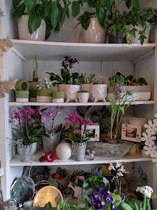 Blumen Naturdeko