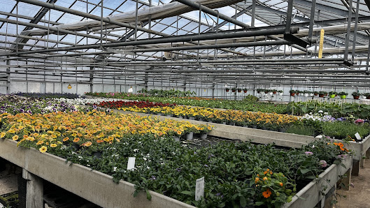 Gartenbau Thomas Müller