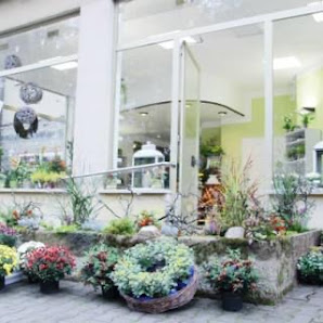 Blumenladen Tausendschön Anja Schlund Bad Rodach