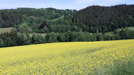 Goldkronach