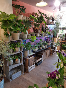 Blumen & Ideen Anja Stöwer