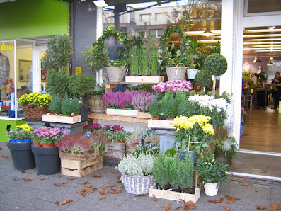 Blumen & Ideen Anja Stöwer