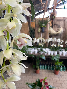 Schinner Gartenbau & Floristik