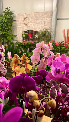 Schinner Gartenbau & Floristik