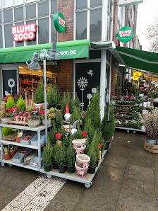 BLUME2000 Hamburg Hoheluft