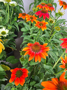 Birgits Florale Werkstatt