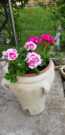 Blumen Egl