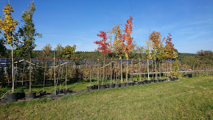 Alfons Lobinger Garten- u. Landschaftsbau, Baumschule
