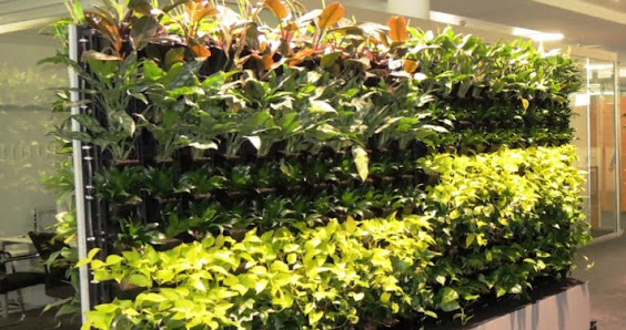 Indoor Green Raumbegrünung