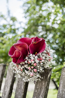 Blumen Meister Hemau