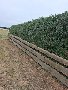 Kormann's Gartenpflege