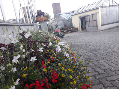 Blumengeschäft