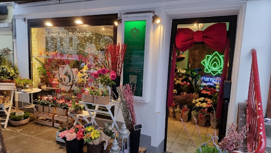 Hanseflora