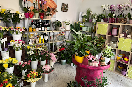 Blumenstube Inh. Petra Baier