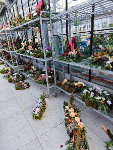 Blumen Senft