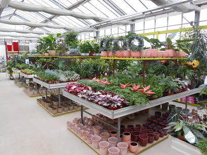 Renner Ihr Gartenparadies