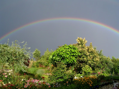 Renner Ihr Gartenparadies