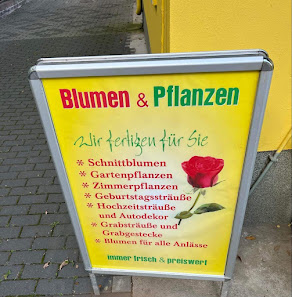 Dang's Blumenhaus