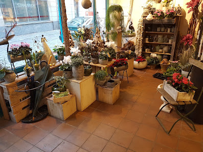 Die Lilie Blumen& Ambiente