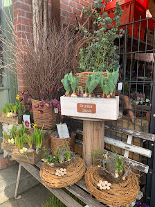 Blumenboutique - Cottbus