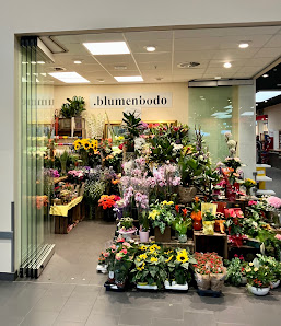 .blumenbodo