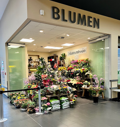 .blumenbodo