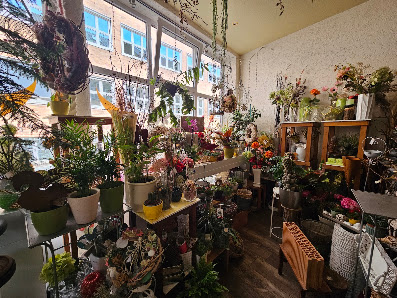 Blumen Romantik - Cottbus