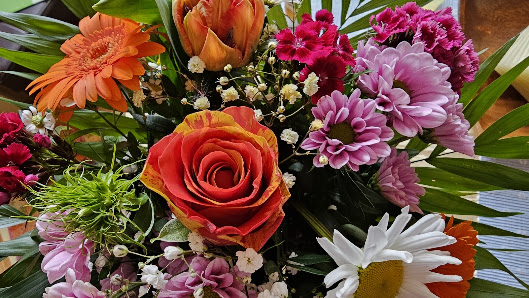 Blumenhaus Glodny