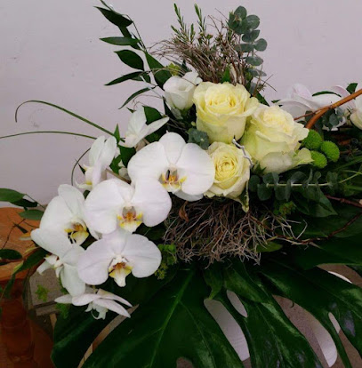 Blumen & Pflanzen