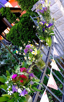 Finkenblumen