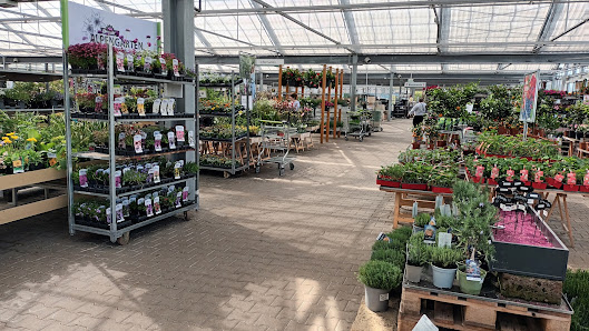 Dehner Garten-Center