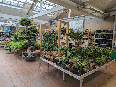 Gartencenter Haubensak