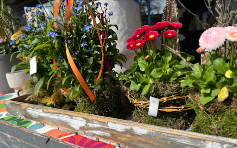 Blumen Vögel e.K.