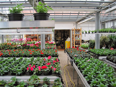 Hortus & Flora Gärtnerei - Natürliche Qualität