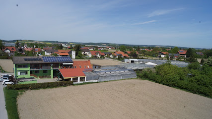 Blumen Rauscher