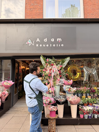 Adam & Neuetalia