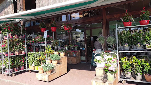 Blumenhandel Zahn GbR Sophienstraße