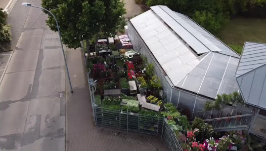 Blumenhandel Zahn GbR Sophienstraße