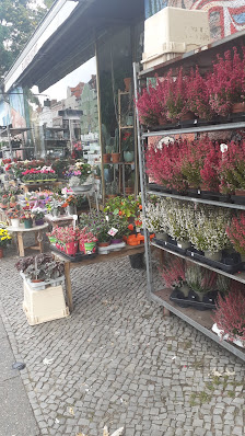 Blumen Kurt