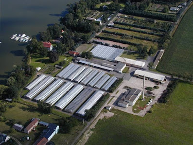 BluGeSa Floristik und Gartenbau GmbH