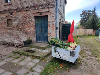 Tannengrün,Adventsgestecke und Gemüse