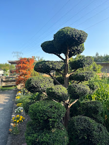 Gartenservice Breiden
