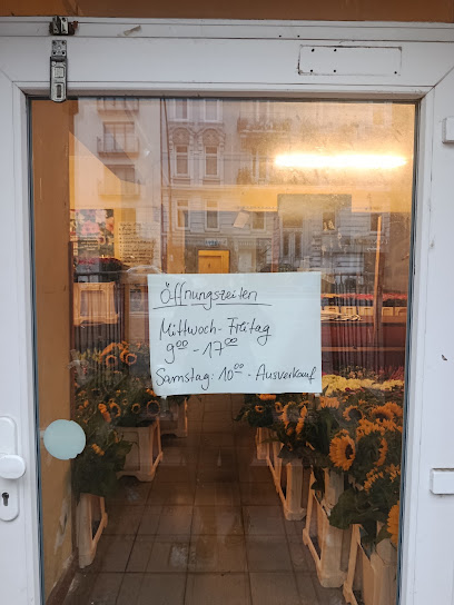 Blumen Holländer