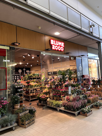 BLUME2000 Bernau