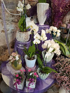 Billes Blumenlädchen