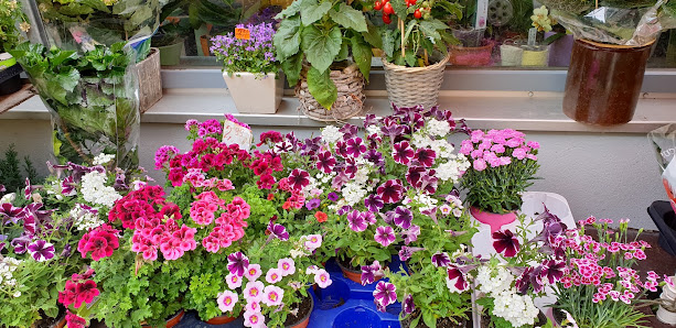 ENGEL Blumen